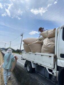 夏真っ盛り